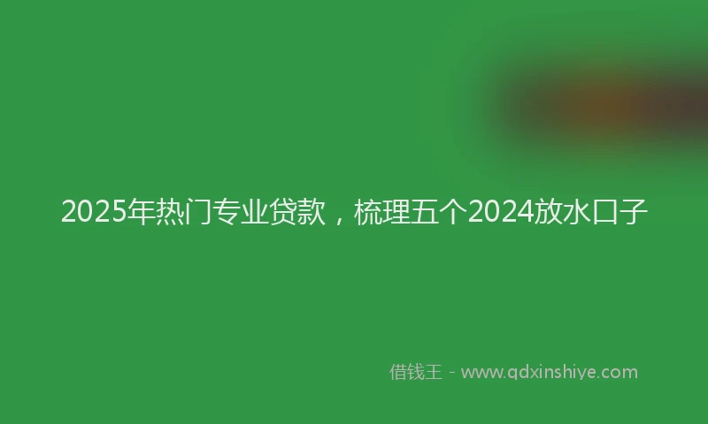 2025年热门专业贷款，梳理五个2024放水口子