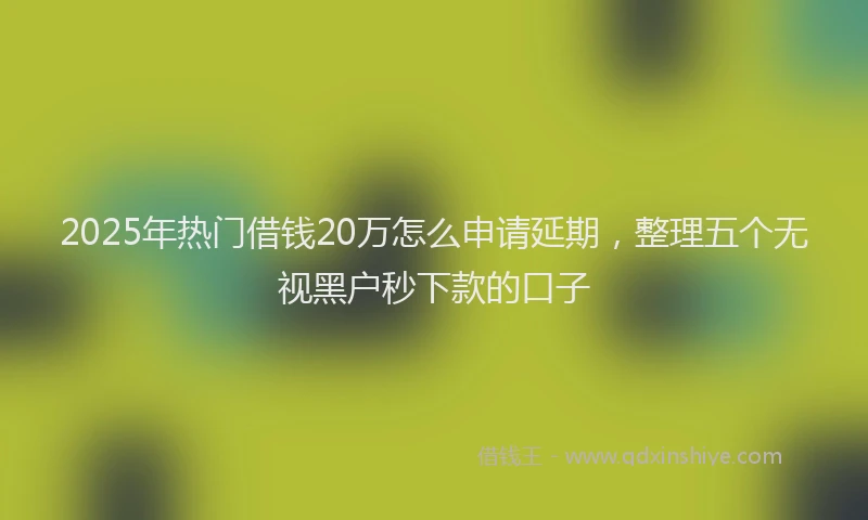 2025年热门借钱20万怎么申请延期，整理五个无视黑户秒下款的口子