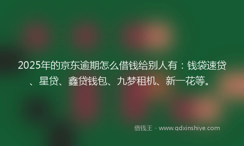 2025年的京东逾期怎么借钱给别人有：钱袋速贷、星贷、鑫贷钱包、九梦租机、新一花等。