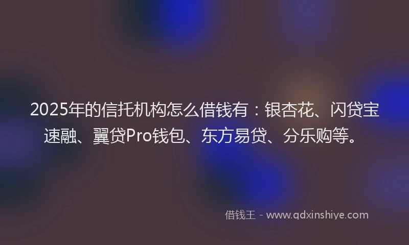 2025年的信托机构怎么借钱有：银杏花、闪贷宝速融、翼贷Pro钱包、东方易贷、分乐购等。