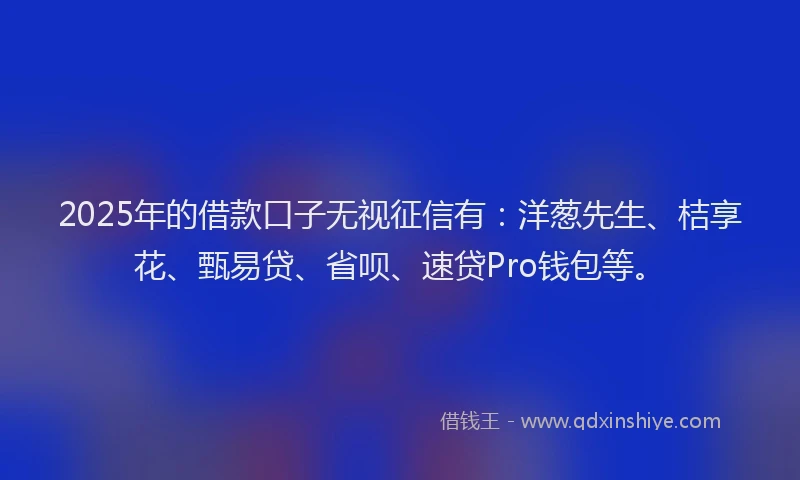 2025年的借款口子无视征信有：洋葱先生、桔享花、甄易贷、省呗、速贷Pro钱包等。
