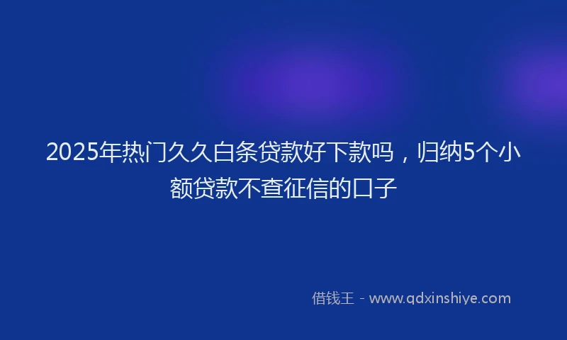 2025年热门久久白条贷款好下款吗，归纳5个小额贷款不查征信的口子