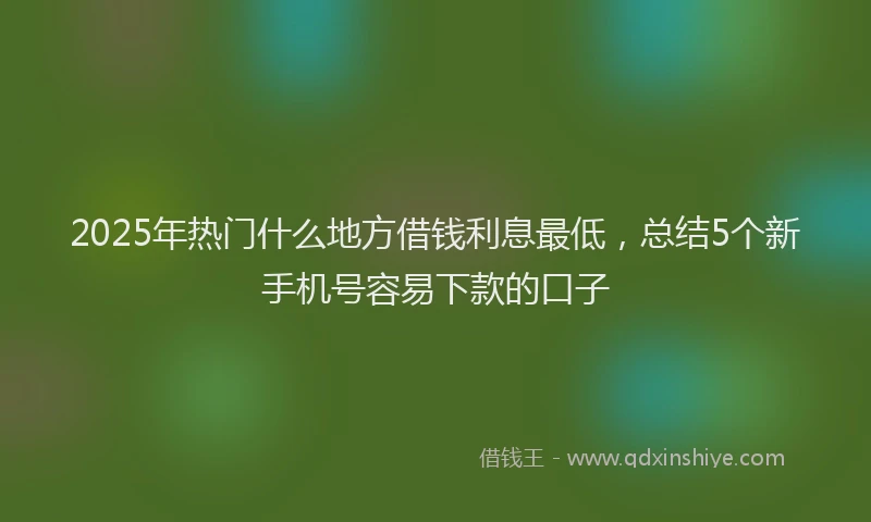 2025年热门什么地方借钱利息最低，总结5个新手机号容易下款的口子