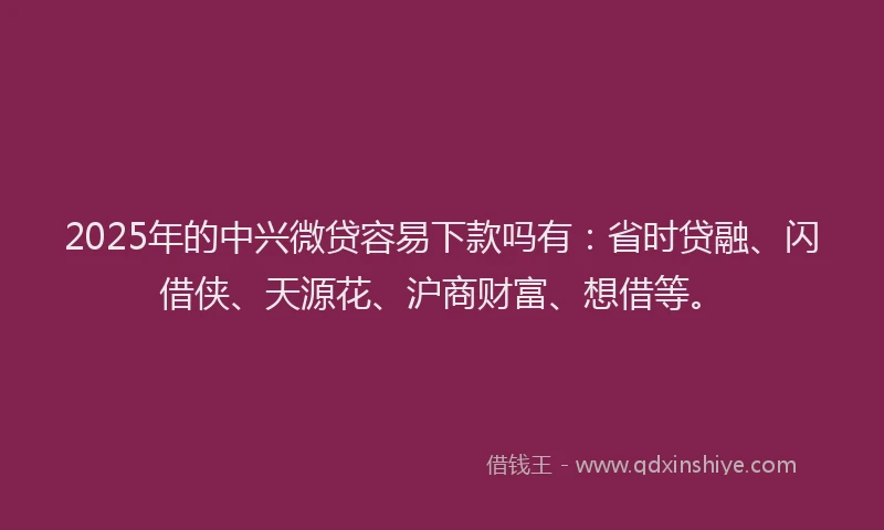 2025年的中兴微贷容易下款吗有：省时贷融、闪借侠、天源花、沪商财富、想借等。