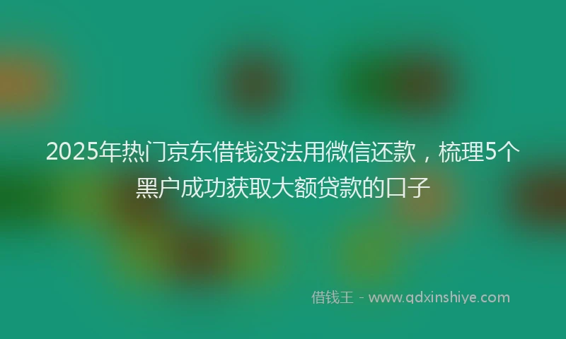 2025年热门京东借钱没法用微信还款，梳理5个黑户成功获取大额贷款的口子