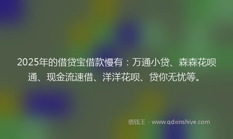 2025年的借贷宝借款慢有：万通小贷、森森花呗通、现金流速借、洋洋花呗、贷你无忧等。