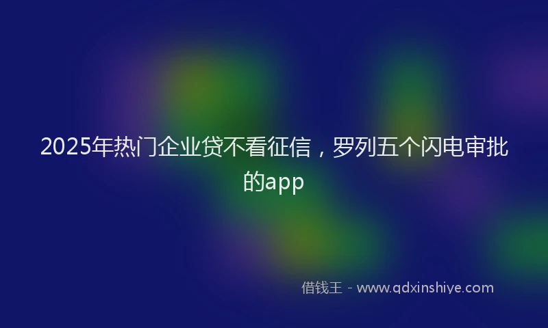 2025年热门企业贷不看征信，罗列五个闪电审批的app