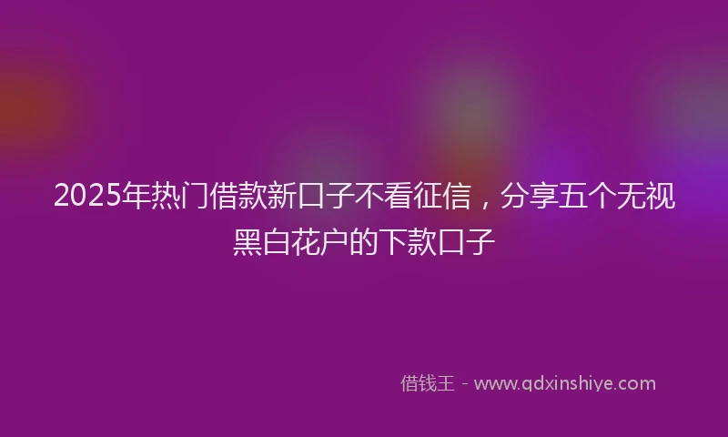 2025年热门借款新口子不看征信，分享五个无视黑白花户的下款口子