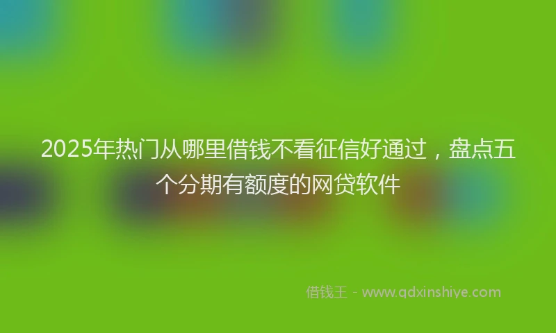 2025年热门从哪里借钱不看征信好通过，盘点五个分期有额度的网贷软件