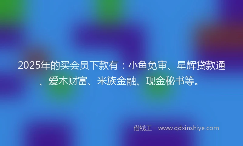 2025年的买会员下款有：小鱼免审、星辉贷款通、爱木财富、米族金融、现金秘书等。