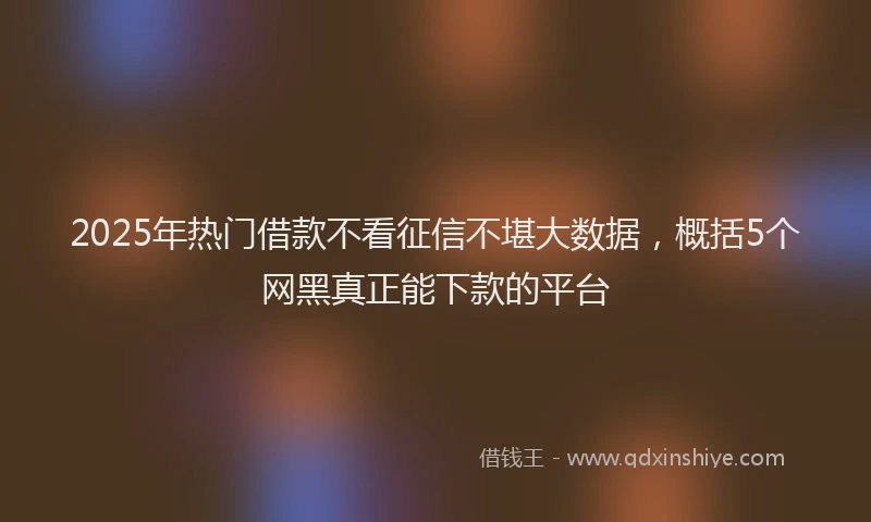 2025年热门借款不看征信不堪大数据，概括5个网黑真正能下款的平台