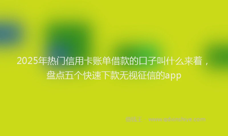 2025年热门信用卡账单借款的口子叫什么来着，盘点五个快速下款无视征信的app