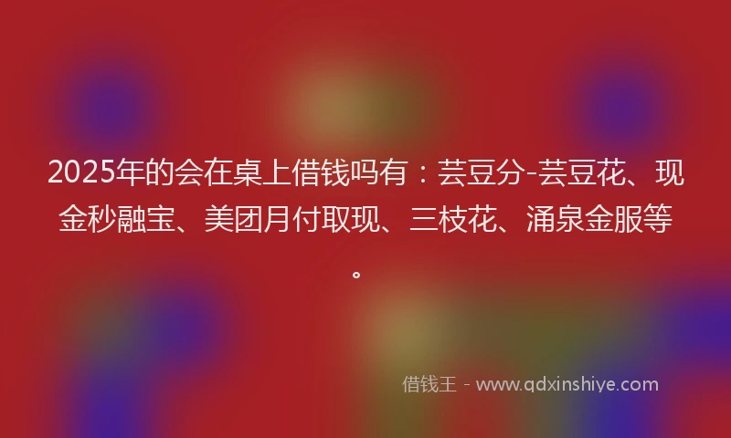 2025年的会在桌上借钱吗有：芸豆分-芸豆花、现金秒融宝、美团月付取现、三枝花、涌泉金服等。