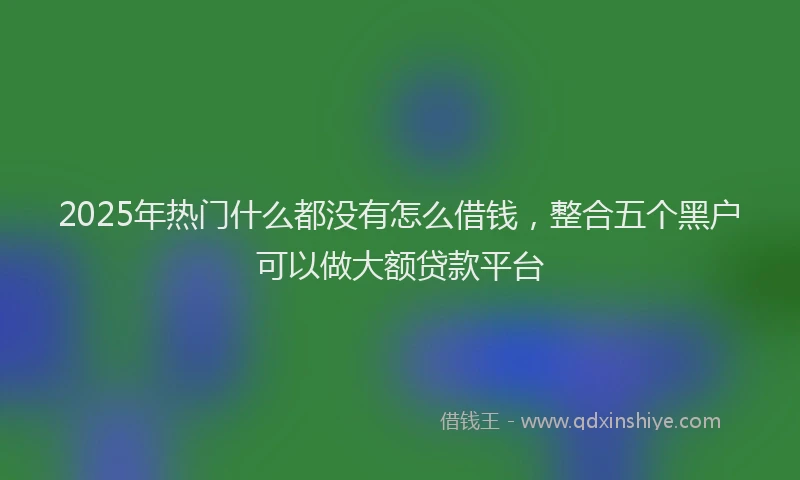 2025年热门什么都没有怎么借钱，整合五个黑户可以做大额贷款平台
