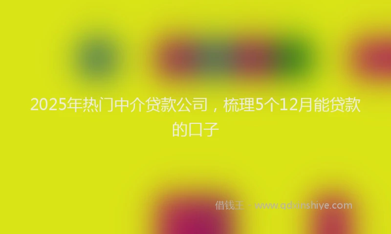 2025年热门中介贷款公司，梳理5个12月能贷款的口子