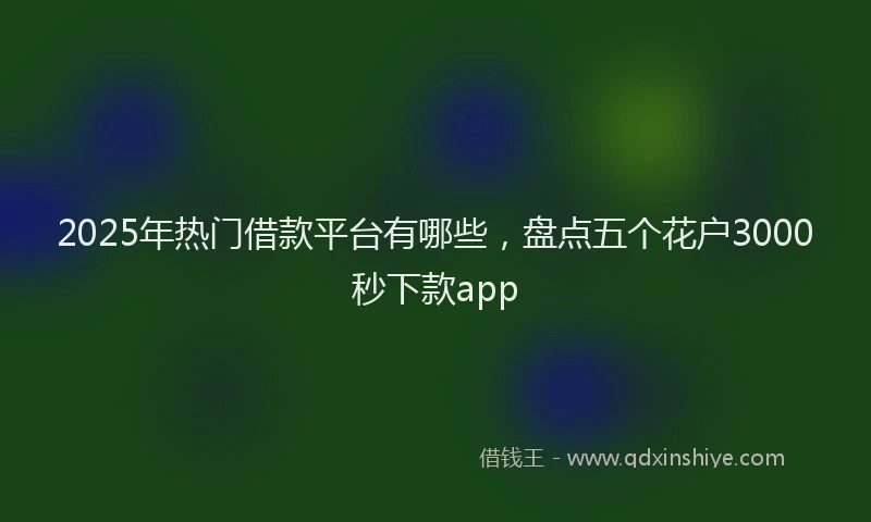 2025年热门借款平台有哪些，盘点五个花户3000秒下款app