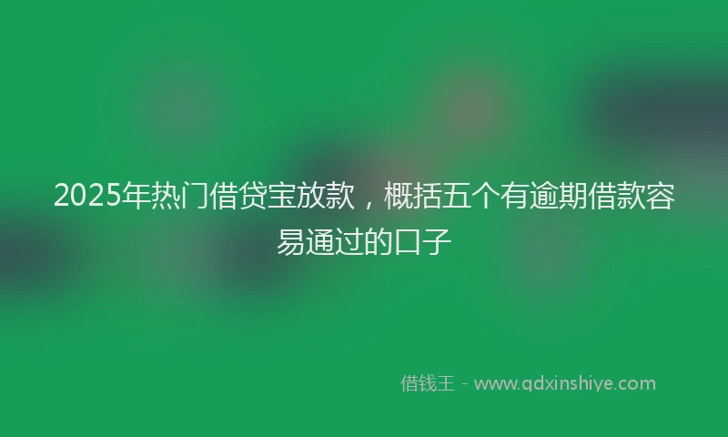 2025年热门借贷宝放款，概括五个有逾期借款容易通过的口子