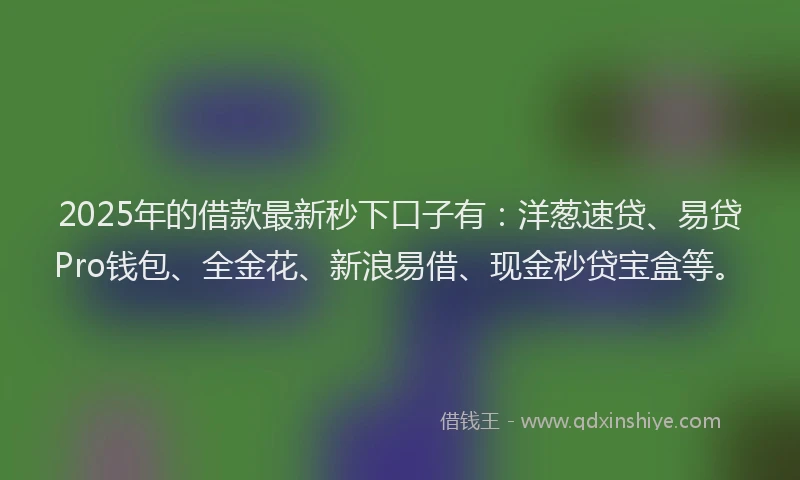 2025年的借款最新秒下口子有：洋葱速贷、易贷Pro钱包、全金花、新浪易借、现金秒贷宝盒等。
