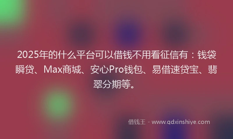 2025年的什么平台可以借钱不用看征信有：钱袋瞬贷、Max商城、安心Pro钱包、易借速贷宝、翡翠分期等。