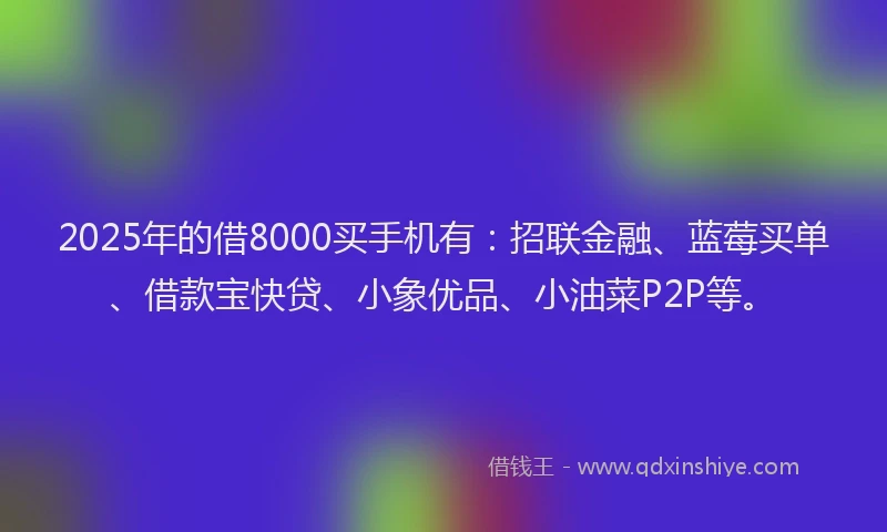 2025年的借8000买手机有：招联金融、蓝莓买单、借款宝快贷、小象优品、小油菜P2P等。