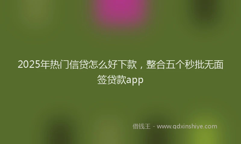 2025年热门信贷怎么好下款，整合五个秒批无面签贷款app