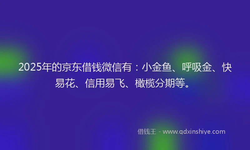 2025年的京东借钱微信有：小金鱼、呼吸金、快易花、信用易飞、橄榄分期等。