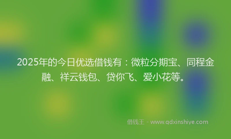 2025年的今日优选借钱有：微粒分期宝、同程金融、祥云钱包、贷你飞、爱小花等。