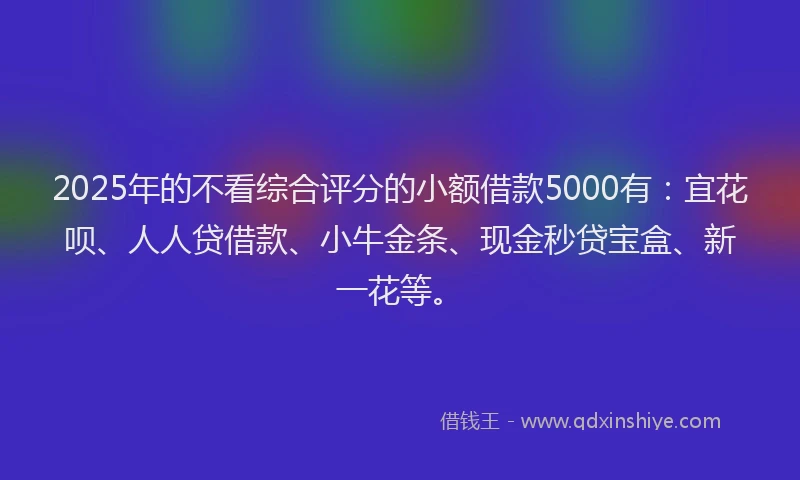 2025年的不看综合评分的小额借款5000有：宜花呗、人人贷借款、小牛金条、现金秒贷宝盒、新一花等。