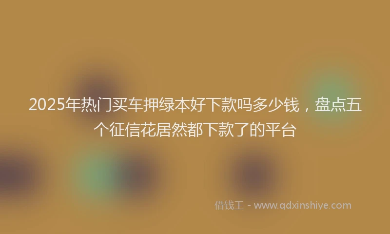 2025年热门买车押绿本好下款吗多少钱，盘点五个征信花居然都下款了的平台