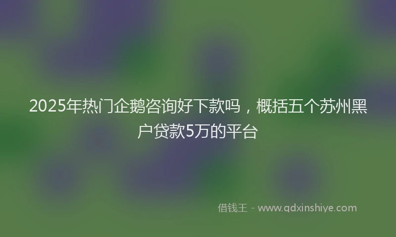 2025年热门企鹅咨询好下款吗，概括五个苏州黑户贷款5万的平台