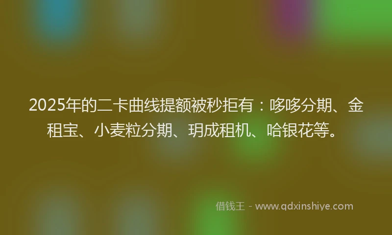 2025年的二卡曲线提额被秒拒有：哆哆分期、金租宝、小麦粒分期、玥成租机、哈银花等。