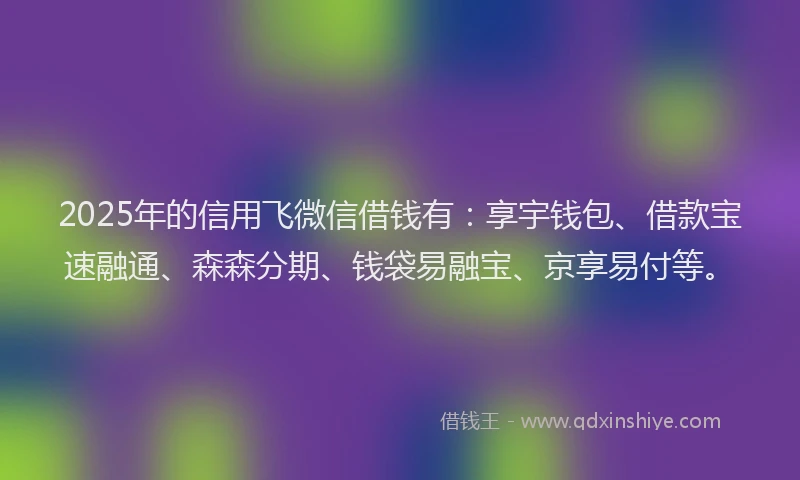2025年的信用飞微信借钱有：享宇钱包、借款宝速融通、森森分期、钱袋易融宝、京享易付等。