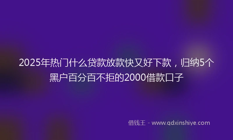 2025年热门什么贷款放款快又好下款，归纳5个黑户百分百不拒的2000借款口子