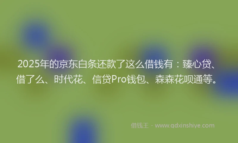 2025年的京东白条还款了这么借钱有：臻心贷、借了么、时代花、信贷Pro钱包、森森花呗通等。