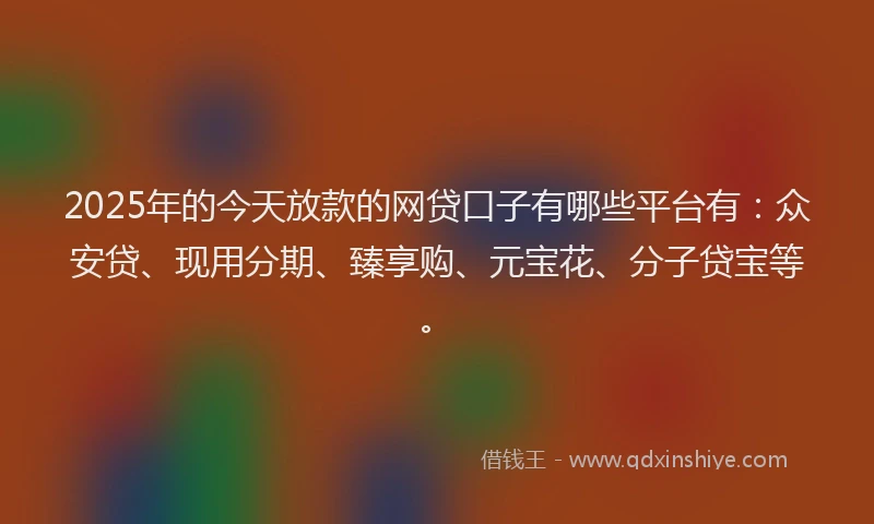 2025年的今天放款的网贷口子有哪些平台有：众安贷、现用分期、臻享购、元宝花、分子贷宝等。