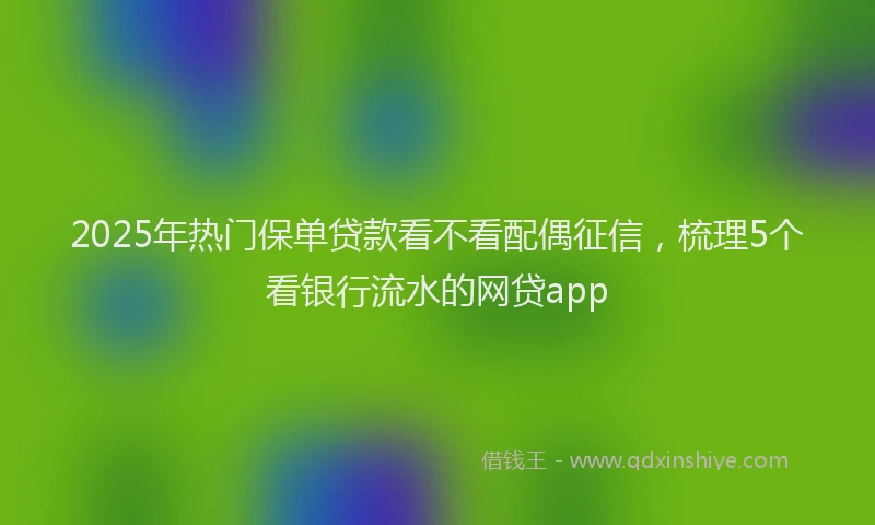 2025年热门保单贷款看不看配偶征信，梳理5个看银行流水的网贷app