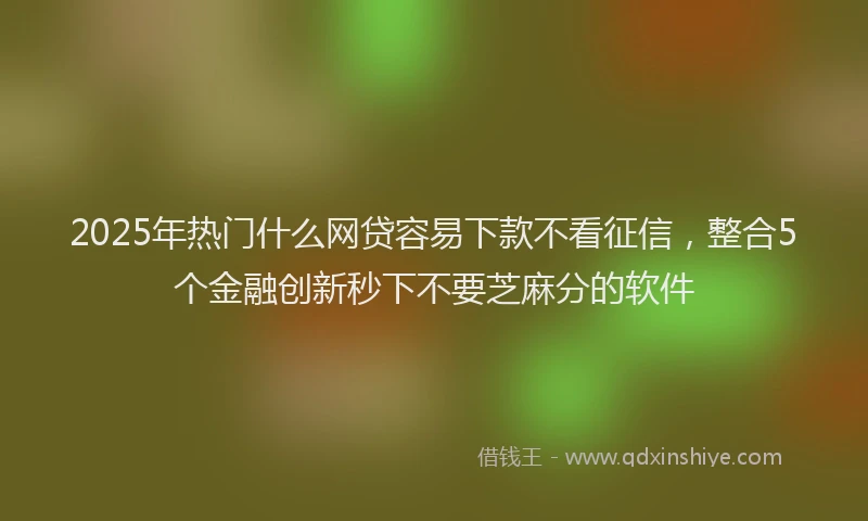 2025年热门什么网贷容易下款不看征信，整合5个金融创新秒下不要芝麻分的软件