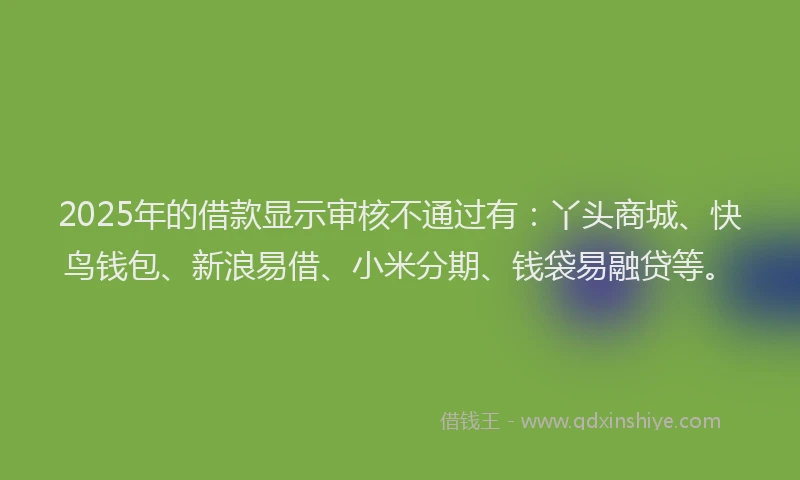 2025年的借款显示审核不通过有：丫头商城、快鸟钱包、新浪易借、小米分期、钱袋易融贷等。
