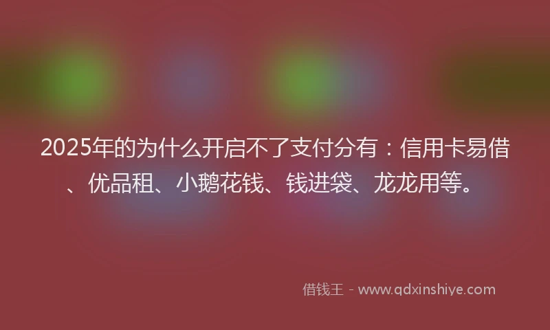 2025年的为什么开启不了支付分有：信用卡易借、优品租、小鹅花钱、钱进袋、龙龙用等。