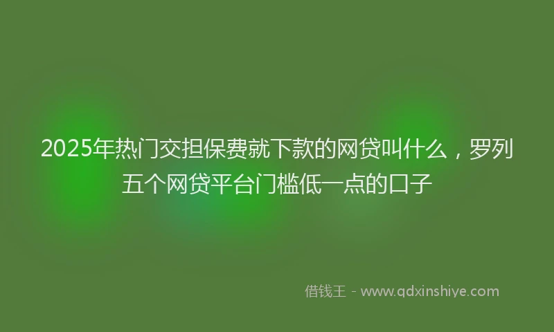 2025年热门交担保费就下款的网贷叫什么，罗列五个网贷平台门槛低一点的口子