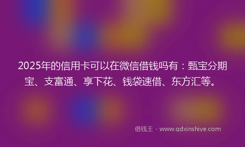 2025年的信用卡可以在微信借钱吗有：甄宝分期宝、支富通、享下花、钱袋速借、东方汇等。