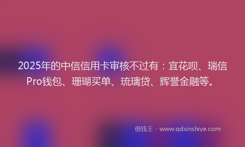 2025年的中信信用卡审核不过有：宜花呗、瑞信Pro钱包、珊瑚买单、琉璃贷、辉誉金融等。
