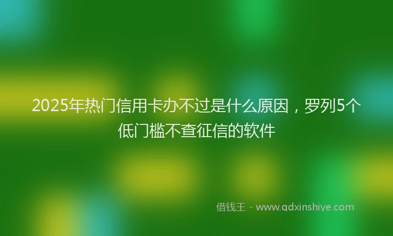 2025年热门信用卡办不过是什么原因，罗列5个低门槛不查征信的软件