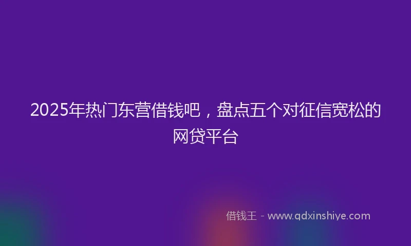 2025年热门东营借钱吧，盘点五个对征信宽松的网贷平台