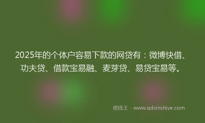 2025年的个体户容易下款的网贷有：微博快借、功夫贷、借款宝易融、麦芽贷、易贷宝易等。