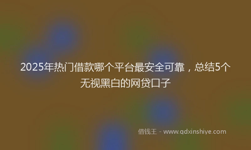 2025年热门借款哪个平台最安全可靠，总结5个无视黑白的网贷口子