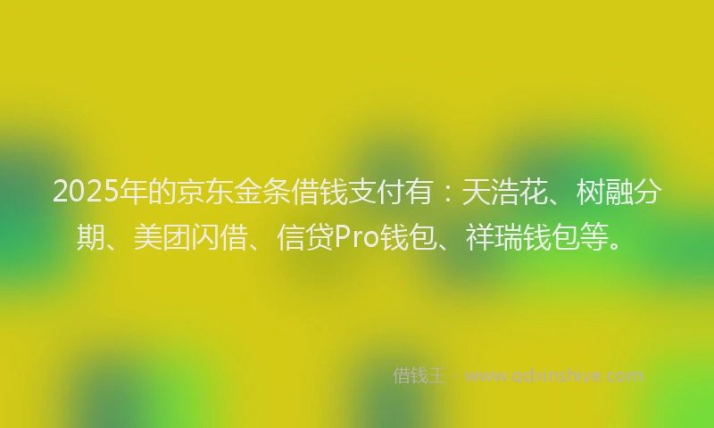 2025年的京东金条借钱支付有：天浩花、树融分期、美团闪借、信贷Pro钱包、祥瑞钱包等。