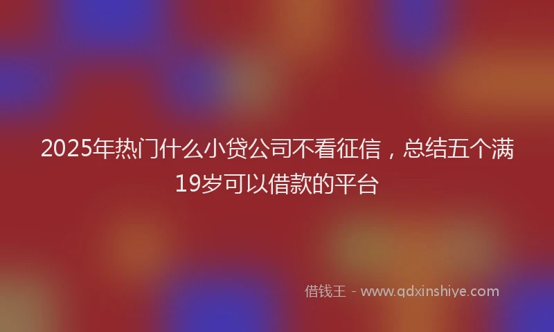 2025年热门什么小贷公司不看征信，总结五个满19岁可以借款的平台