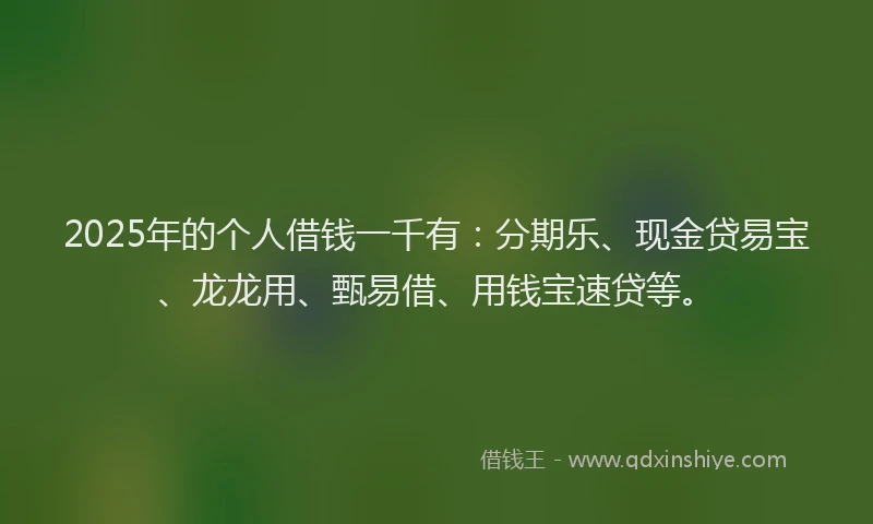 2025年的个人借钱一千有：分期乐、现金贷易宝、龙龙用、甄易借、用钱宝速贷等。