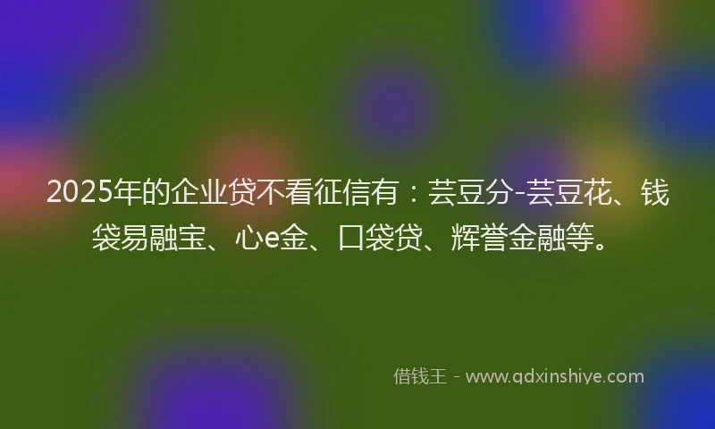 2025年的企业贷不看征信有：芸豆分-芸豆花、钱袋易融宝、心e金、口袋贷、辉誉金融等。